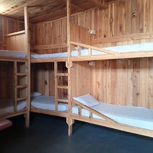 Bed 8-Bed Mixed Dormitory Room
